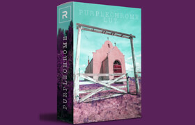 The RunNGun - Purplechrome LUT