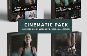 Colorwheelstore - Combo Lut Cinematic Pack - lut
