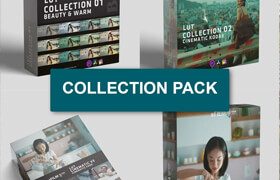 Colorwheelstore - Combo - LUT Collection Pack - lut