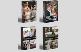 Colorwheelstore - Combo Wedding Lut Pack - lut