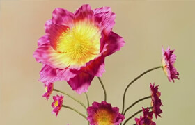 Patreon - Paul Esteves Complete RIP