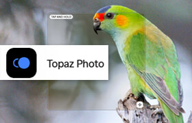 Topaz Photo Pro - 基于AI技术的照片修饰软件破解版