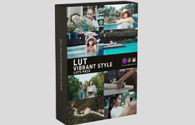 Colorwheelstore - Lut Vibrant Style Pack - lut