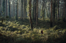 Lens Node for DaVinci