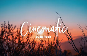 MapleVisuals - 12 Cinematic LUTs Pack - lut