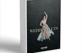 Moodypresets - Wedding Luts - lut