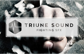 Triune Digital - Fighting SFX - 声音素材