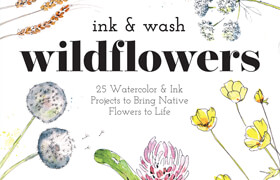 Ink & Wash Wildflowers 25 Watercolor & Ink Projects to Bring Native Flowers to Life (True EPUB) - book
