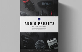 Sam Holland - Audio Preset Pack For Premiere Pro - 插件