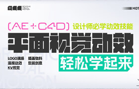 【正版】AE+C4D平面视觉动效轻松学