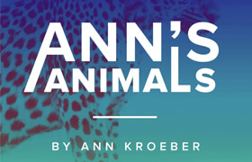 Pro Sound Effects - Ann's Animal (WAV) - 声音素材