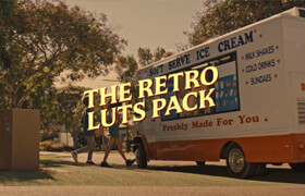 Motion Array - The Retro LUTs by US3R