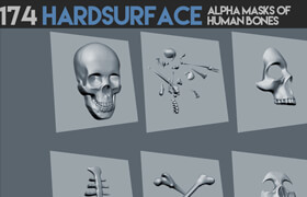 Artstation - 174 Hardsurface alpha masks of human bones - 笔刷