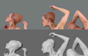 Anatomy 360 - Female 03 Pose Pack - 模型