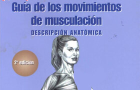 Gua de movimientos musulares