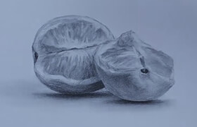 Udemy - Ultimate Drawing Course Learn To Draw Even Without Talent