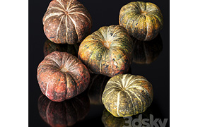 Pumpkin 5 models