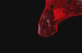 DoubleJump Academy - Recreating the Flesh Portal in Houdini