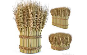 Decorative sheaves of wheat ears 2