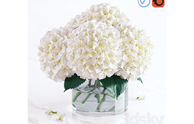 White hydrangea bouquet