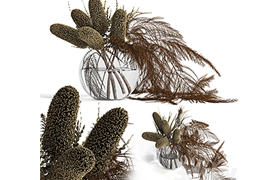 Dry banksia and fern