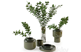 Decorative set with plants