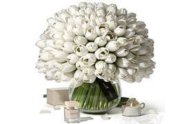 Tulips Interflora Luxury Collection