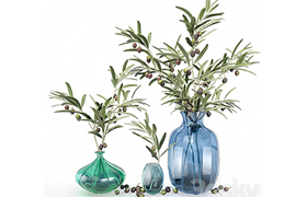 Bouquet of olive branches