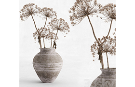 Hogweed in a clay vase