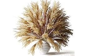 Fluffy bouquet of dry grass with tails in a glass white vase