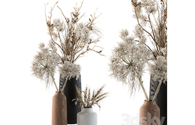 Dry plants 33 - Pampas and Dried Branch