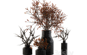 Bouquet Set 11 - Dried Branch and Berry