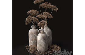 Jugs with dry dill stalks