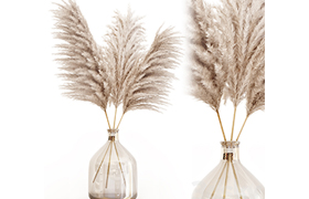 Pampas grass in glass vase 7
