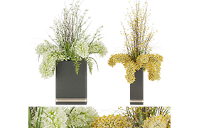 Collection plant vol 56