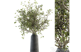 Bouquet - Green Branch in vase 40