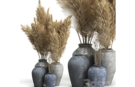 Decorative set of Clay Vases and Pampas Grass