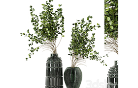 Indoor Plants In Handmade Glass Pot - Set 94