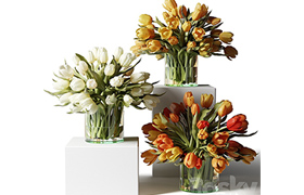 Yellow, red and white tulips in glass vases