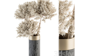 Dry plants 79 - Dried Plants in Black and Gold Vase