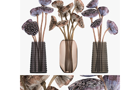 A set of bouquets of dried flowers in glass vases, dry Lotus