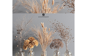 Collection Plants Bouquet 2