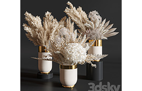 Flower Set 010 Pampas