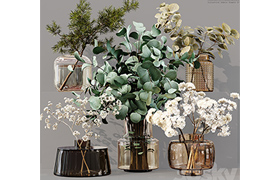 Collection Indoor Plants 07