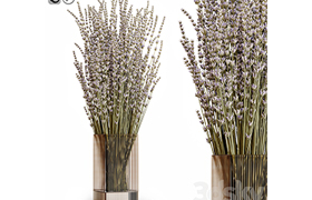 Dry flowers 5 lavender