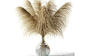 Pampas grass in a glass vase - Sofia Bouquet