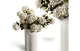 A bouquet of hydrangea 2