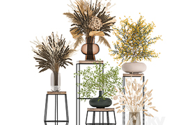 A set of bouquets of dried flowers in vases for decoration o