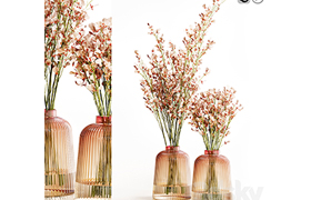 Orchid Oncidium Pink