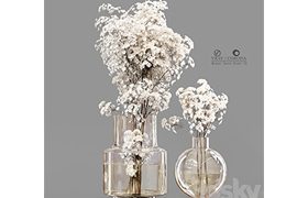 Bouquet Indoor Plants 02